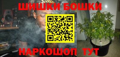 крисы Лесосибирск