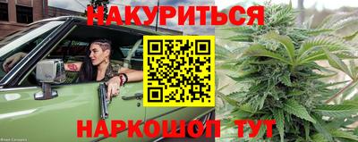 крисы Лесосибирск