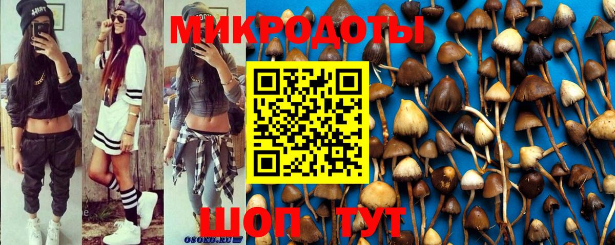 Псилоцибиновые грибы GOLDEN TEACHER Тулун